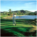 Golfing